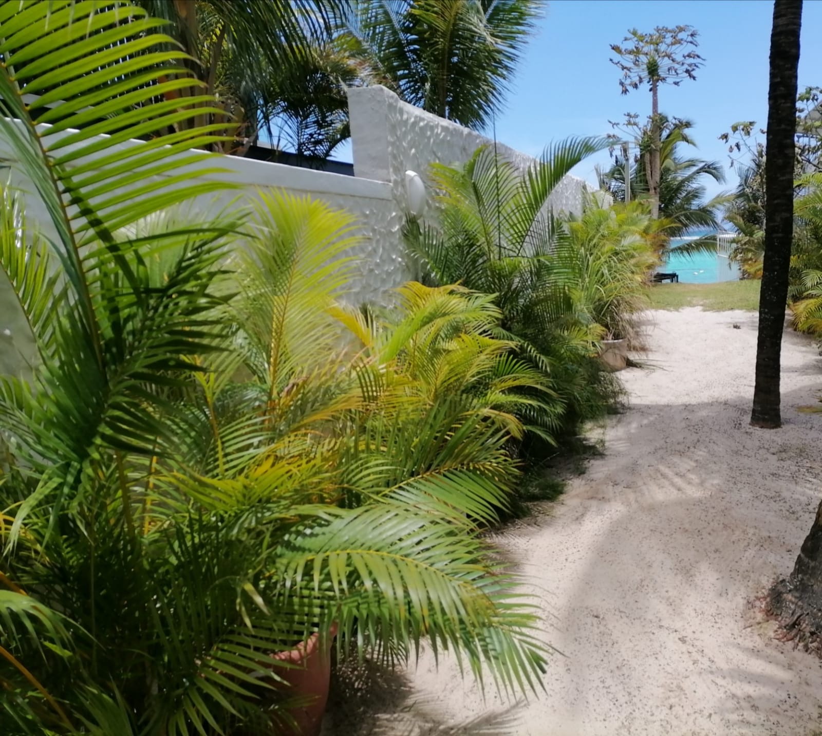 Suite With Partial Sea View